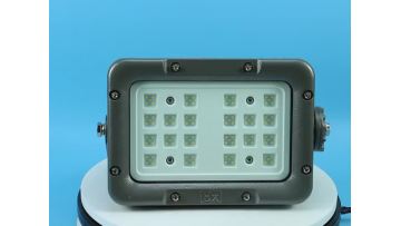Explosion proof light-8189