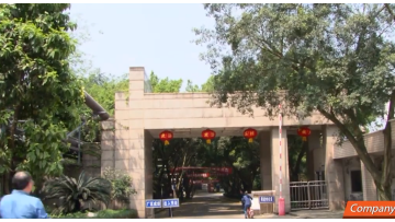 The company video-1