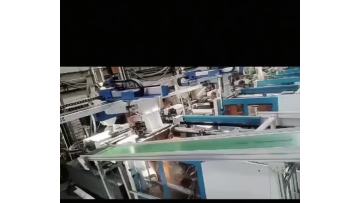 Plastic injection molding production line