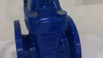 F4 Rubber Wedge Gate Valve1