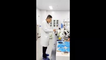 Factory production video