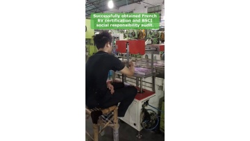 Video 12