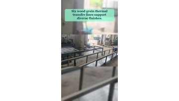 Video 45