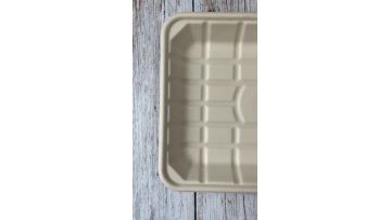 sugarcane bagasse meat tray