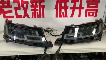 LR099786 LR099787