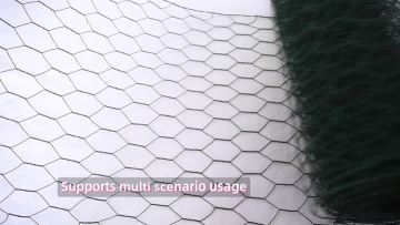 hexagonal wire mesh 02