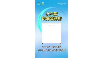 WR45 single -door refrigerator