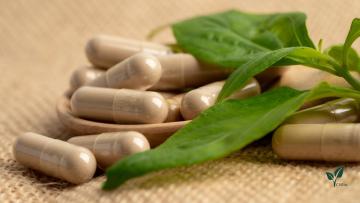 Epimedium Extract 