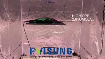 320w led grow light