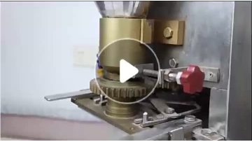 A meat grinder made of stainless steel