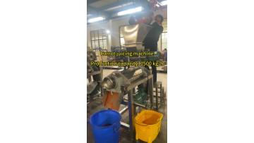 Large Carrot Juicing Machine