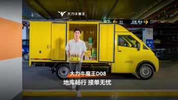 D08 low cargo van electric vehicle
