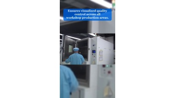 Video 3