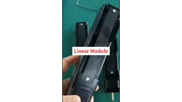 linear guide module
