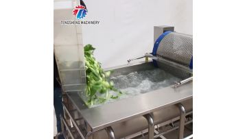 TS-X680D Vegetable Bubble Washing Machine Continuous Type