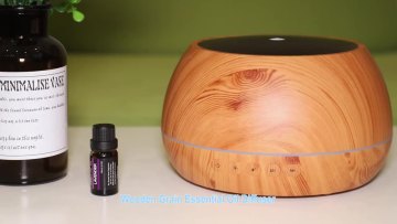 Essential Oil Diffuser Sound Machine diffuser aroma for Aromatherapy Fragrant Oil Cool Mist Humidifier with Natural Sound Music1