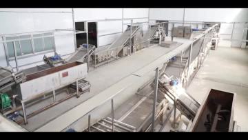 Factory Production Line