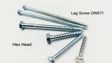 Hexagonal Head Wood Screw for wooden constructions DIN 571 Hex Lag Screw1