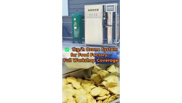 1kg/h Ozone Generator for Food plant– Full Workshop Disinfection