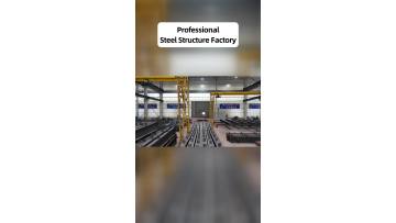 Integrated Steel Structure Supply