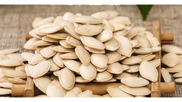pumpkin seeds processing1