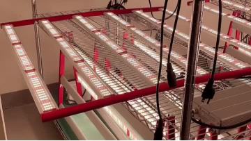 AGLEX M600 LED GROW LIGHT