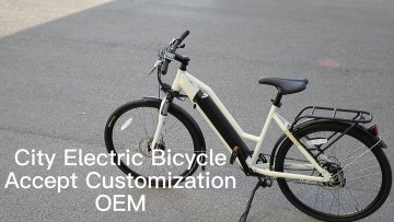 CB002 electric bike bicycle motorbike exercise electric city bike folding bicycle mountain ebike road bike1