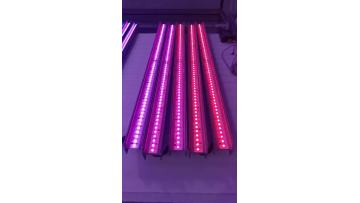 SYA-803 led wall washer light