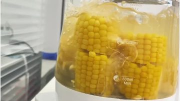 Yellow Waxy corn6