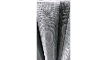 China manufacture galvanized PVC coated welded wire mesh rolls1