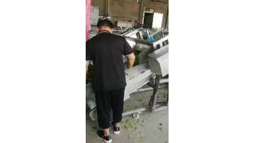 green beans production line
