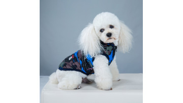 coat jacket