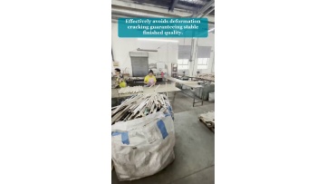 Video 5