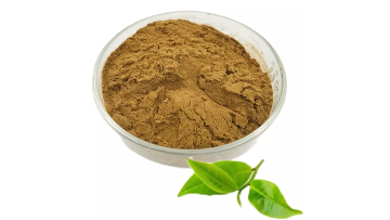 Green Tea Extract