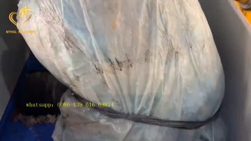 single shaft shredding machine