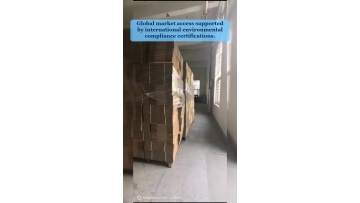 Video 19