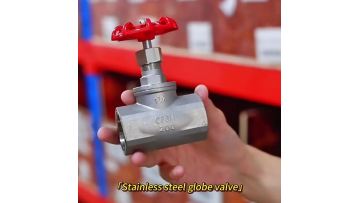 Steam Threaded Globe Valve