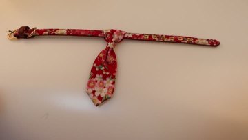 cat tie Japanese style.MP4