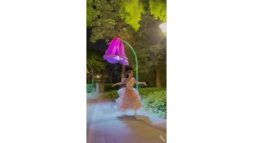 LED Human Interactive Induction Flower Light