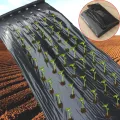 New Design Agriculture Mulch Pre-punched Hole Plastic Film Greenhouse Weeds Control Mylar Strawberry vegetable Planting Tools