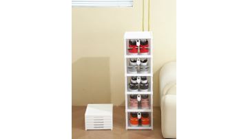 Shoe Cabinet