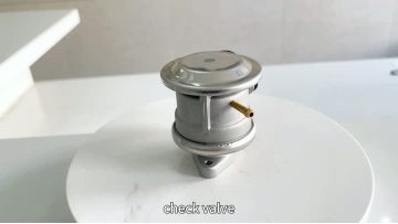 9001 Air Injection Check Valve
