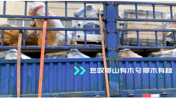 The vehicle delivery