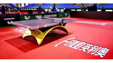 table tennis court mat and badminton court mat 