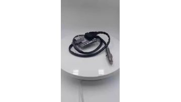 12V nitrogen and oxygen sensor