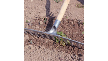 Zhixin Good Quality Garden Tool Steel Long Handle Leaf Rake1