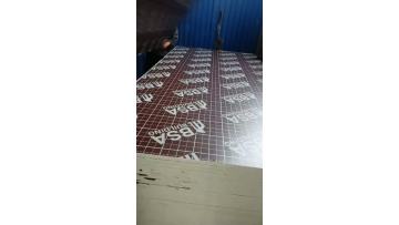 film faced plywood (5)