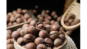 328g Original Flavor Open Hazelnut