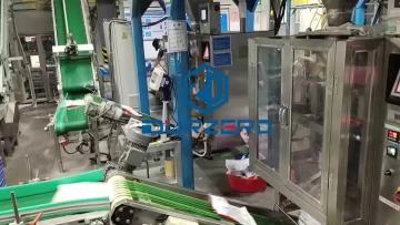 Detergent Powder Packaging Machine.mp4