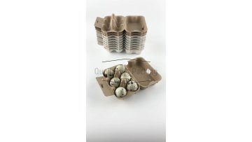 Custom Molded Pulp Paper Quail Egg Packaging for quail farming1